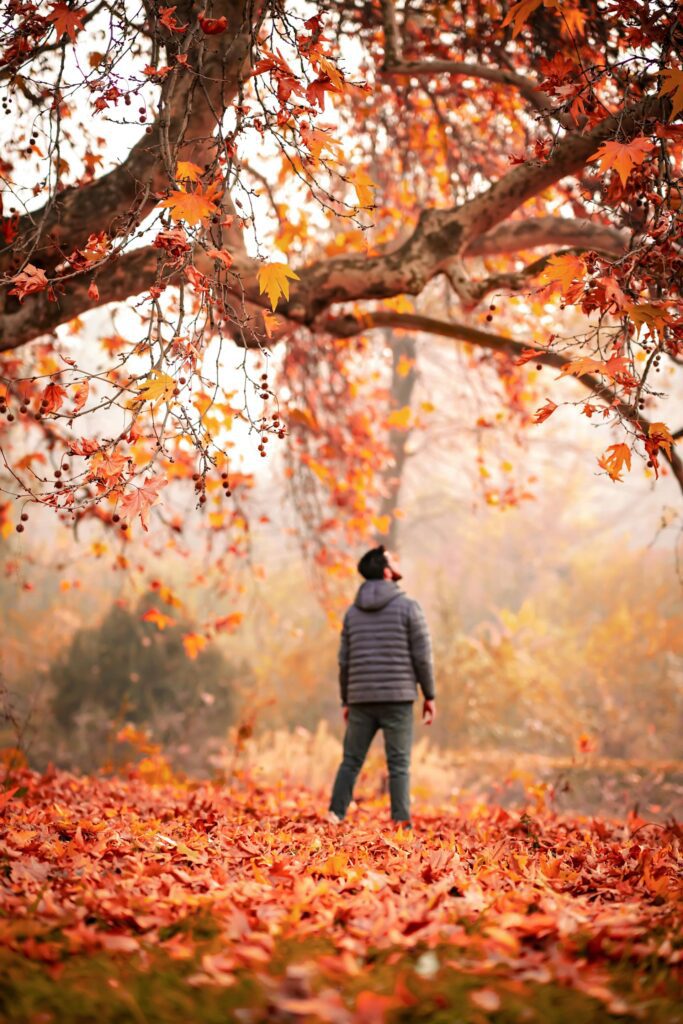 Jesienne rytuały zdrowotne – od medytacji po rozciąganie.